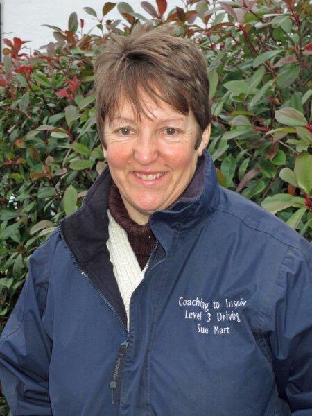 I am delighted to be supporting #GreatCoaching   If you are new to driving, drive for pleasure, or competitively why not let me help you reach your goals. #carriagedriving #TeamBennington