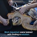 fablabupcebu's tweet photo. Saving marine wildlife with 3D printing. Now that's something. https://t.co/MDjZ5Q1yD4