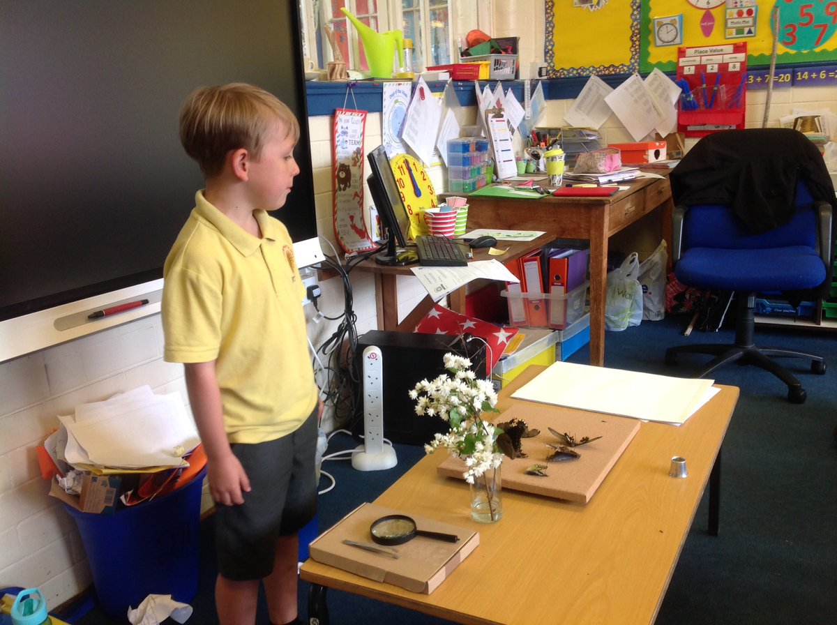 What a fantastic presentation - the children were fascinated.