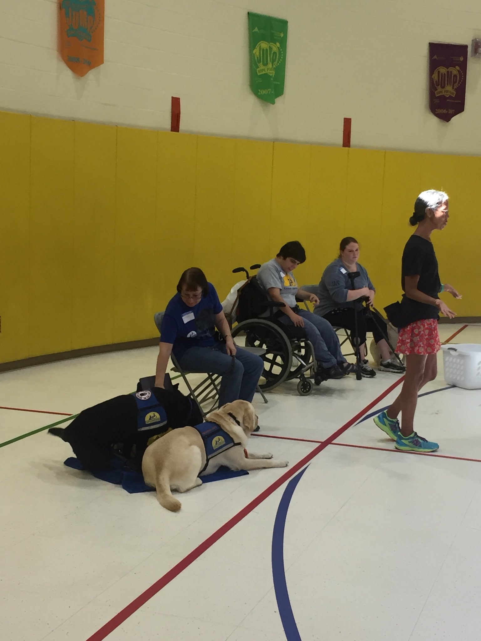 mfa-on-twitter-learning-how-service-dogs-help-people-with