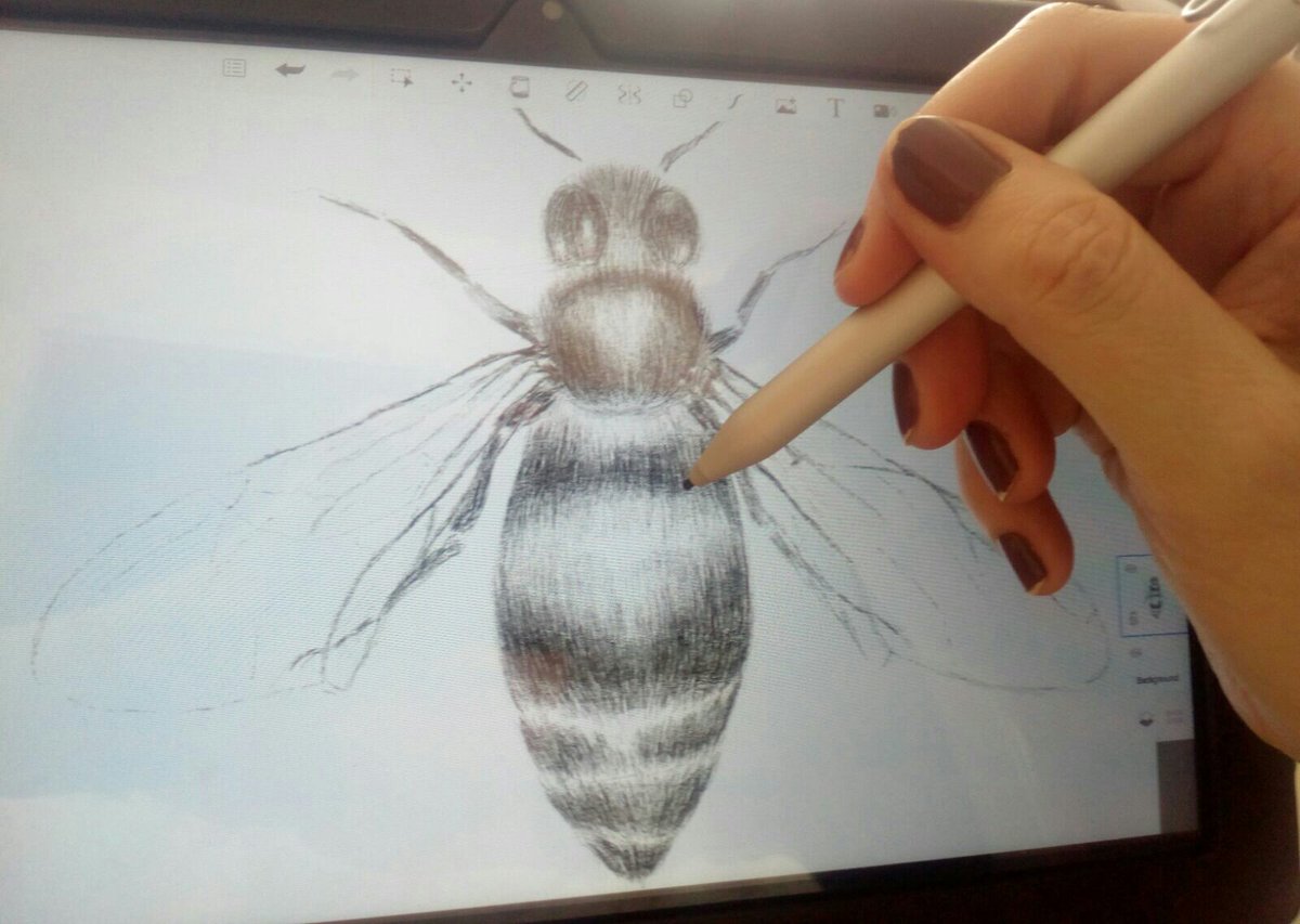 mharrtextiles's tweet photo. Doodling on the Picasso Drawing Tablet. Honey Bee! #digitalart #digitalillustration #picassotablet https://t.co/ceKArn3zQZ