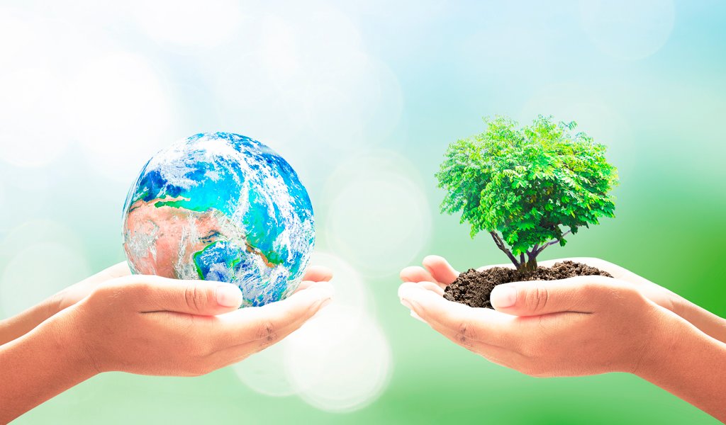 05 DE JUNIO - DÍA MUNDIAL DEL MEDIO AMBIENTE.
"Cuidar el medio ambiente es tarea de todos"
#Conciencia #Valores #MedioAmbiente