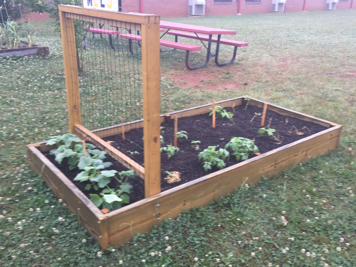 DCSSNutrition's tweet photo. We LOVE #schoolgardens because of the #nutritioneducation opportunities to our students. Check out the school garden at Mirror Lake Elementary School! 

Visit https://t.co/7BB4jm77yB for resources and more on how to start a garden! #ShakeItUpGA https://t.co/UCIFefUjzU