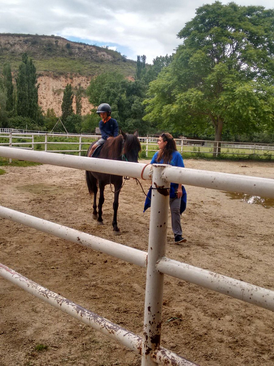 Mirabal_Infant's tweet photo. Taller vela y caballos.Granja I5. @ColegioMirabal https://t.co/515T8QmzFW