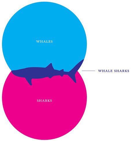LoggerheadApp's tweet image. “A Fin diagram.”