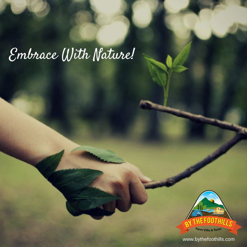 ByTheFoothills's tweet photo. From this #WorldEnvironmentDay lets go hand in hand with mother nature!

Visit https://t.co/ep35Lb9PKO for a serene and relaxing experience

#WorldEnvironmentDay #SaveTheEnvironment #PlantMoreTrees #GoGreen #NatureLovers https://t.co/mrerHtljcP