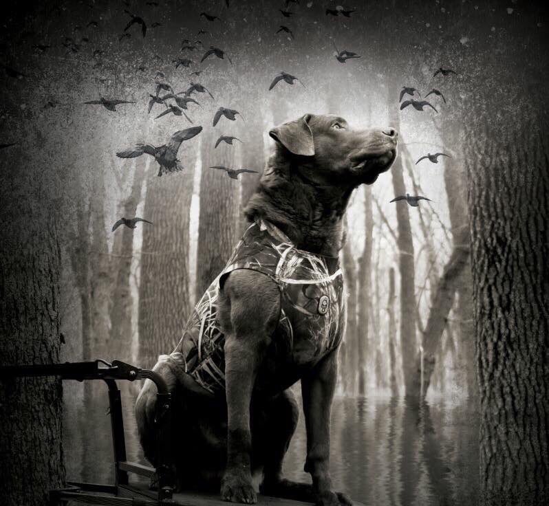 Southern Fowler Co. tweet media