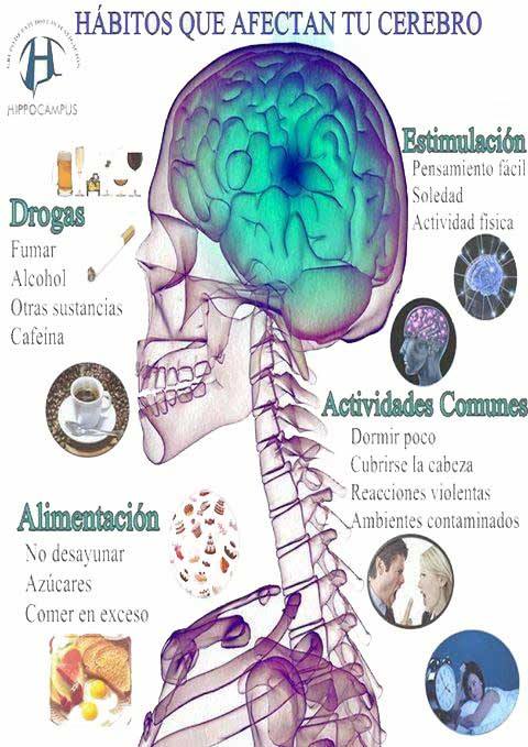 HippocampusGrup's tweet photo. ¿Cuáles son las principales actividades que dañan tu cerebro? #Neurocapsulas #Grupohippocampus #investigación_hippocampus #neurociencia #cerebro #neuroscience #neurología #neuropsicologia #neuropsychololy  @ALEM_Medellin @FundacionGales @clarologu1 @AlexanderRios_ @MadridNeuropsi https://t.co/8DnJLGiINz
