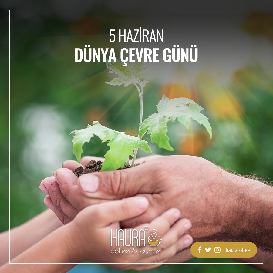 Doğayı sev, yeşili koru. 🍃
#haura #hauracoffee #hauracoffeelounge #rizehaura #rize