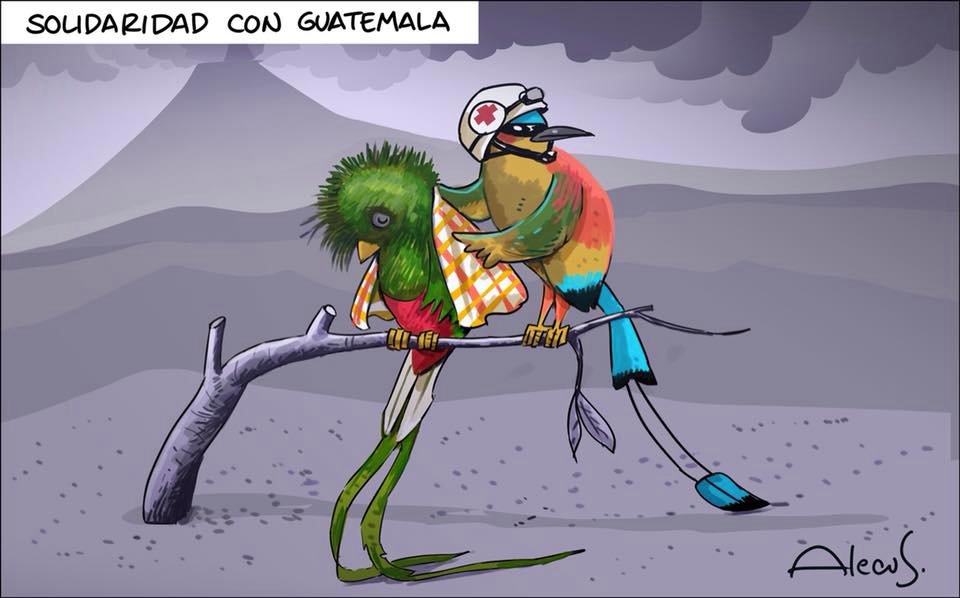 EmisorasUnidas's tweet photo. Muestra de apoyo y solidaridad de varios países a Guatemala tras la erupción del #EUVolcánDeFuego, el balance es de 69 fallecidos y más de un millón de afectados. Vía: Andrea Castillo. https://t.co/hwMWZVOkvV
