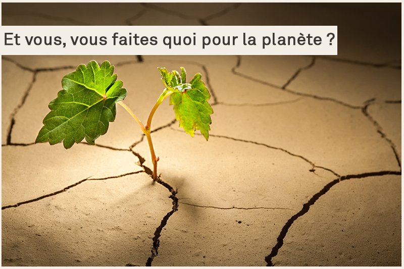 Vouloir toujours faire des affaires entraine naturellement une obsolescence programmée dans l'offre des fabricants... Chez <a href="/myTwido/">Twido</a> on résiste tous les jours ! #JourneeMondialeEnvironnement #journeeenvironnement #agirchosir
Découvrez comment : twido.fr/twido-nouvelle…