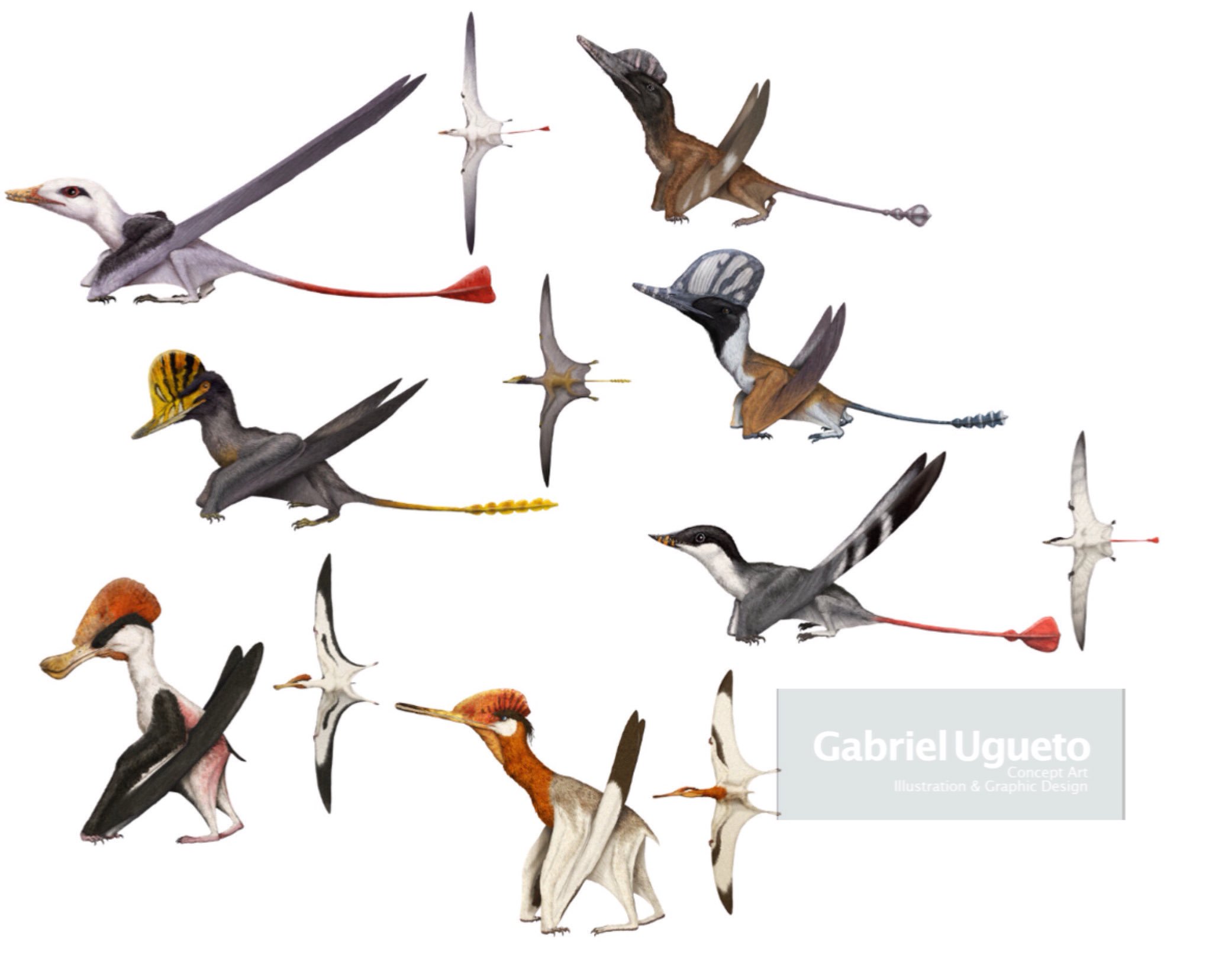 Gabriel N. U. on Twitter: