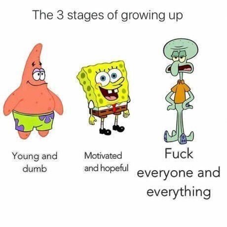 TheComedyHumor's tweet photo. The three stages of life https://t.co/qQE9zsnQWU