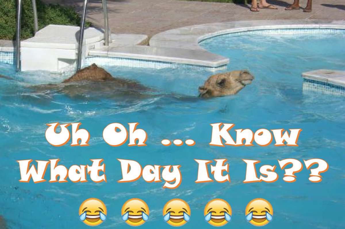 Perfect_Pools's tweet image. We Are Half Way Through This Week!  Need Professional Pool Service? 🏊‍♀️🏊‍♂️ Call Perfect Pool &amp;amp; Spa Today (530) 515-1285.   #swimmingpoolservice #swimmingpoolrepair #swimmingpool #swimming #swim #swimlife #swimmerslife #swimmers #loveswimming #pooltime  #poolseason