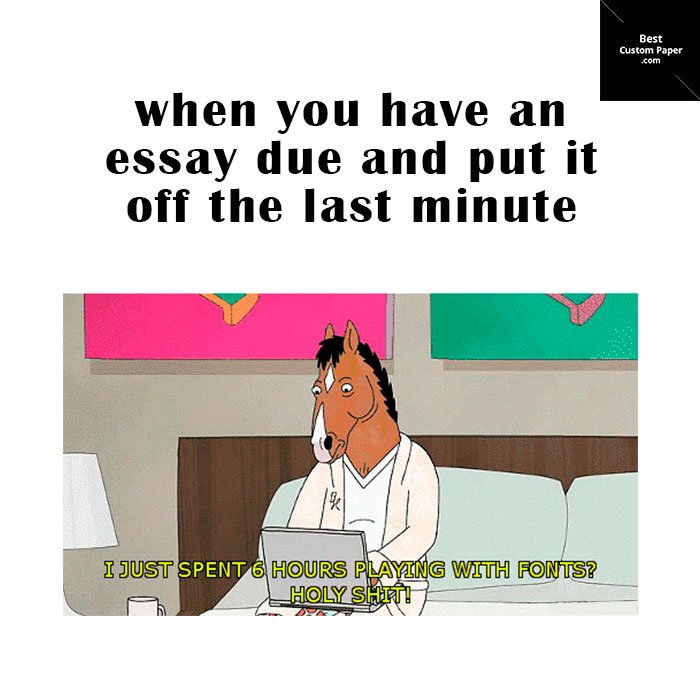 BestCustomPape's tweet photo. Shortly about how I write an essay π
π.
#essay #essaywriting #essaytime #essayist #essayhelp #essayssuck #ihateessays #essayduetomorrow https://t.co/9q4A6fRrIP