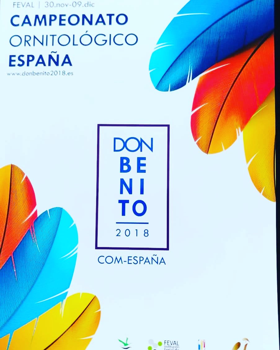 AviarioIO's tweet photo. Hoy os dejo el cartel anunciador del campeonato ornitológico de España, que será en Don Benito.

🐥🐦🐣🕊️🐤 https://t.co/rPZfA5Gltm