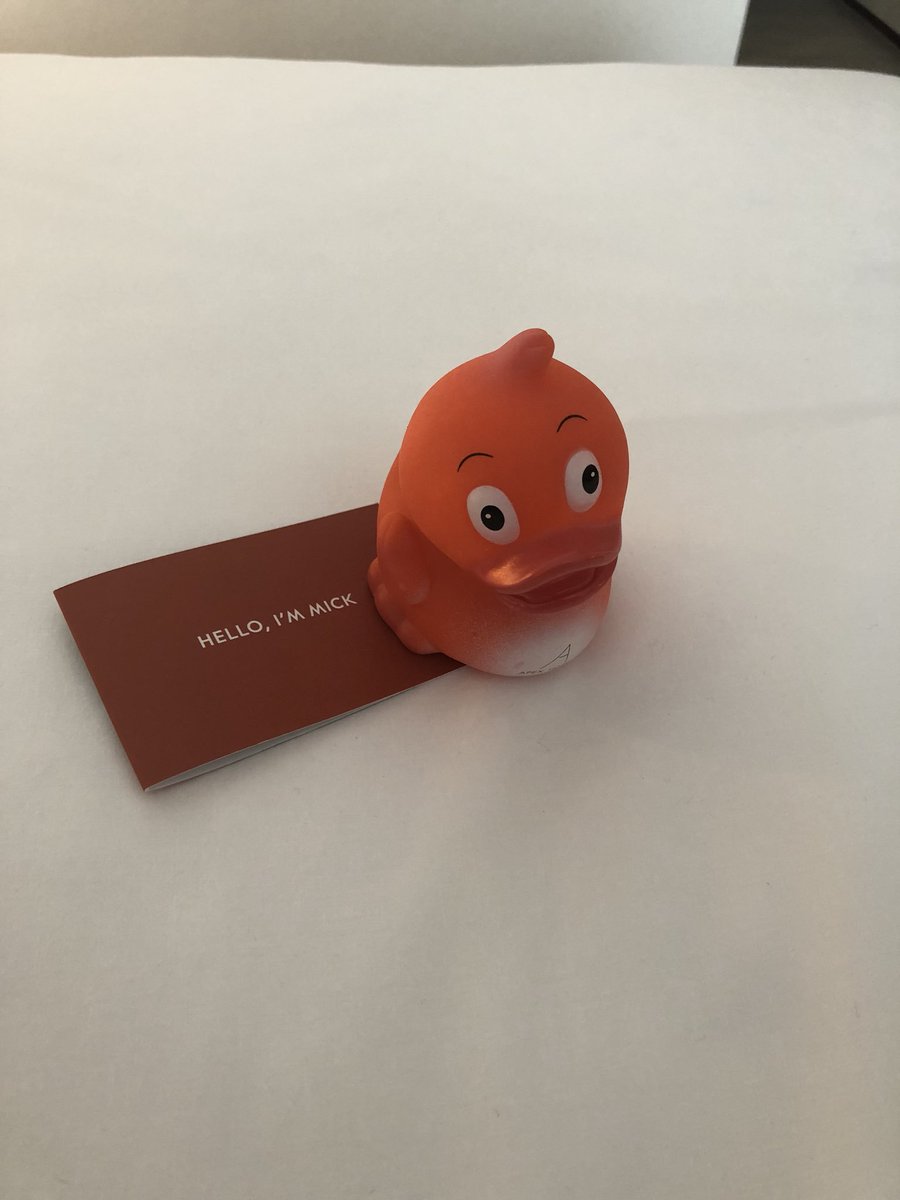 hemsworth_clare's tweet photo. A huge thank you to @SLIC1991 for the sponsored place to #CILIPS18 I got to speak to so many people I’ve only spoken to by email, meet new people and have lots of new ideas. The duck also has a new home! https://t.co/rJEwUiRvEF