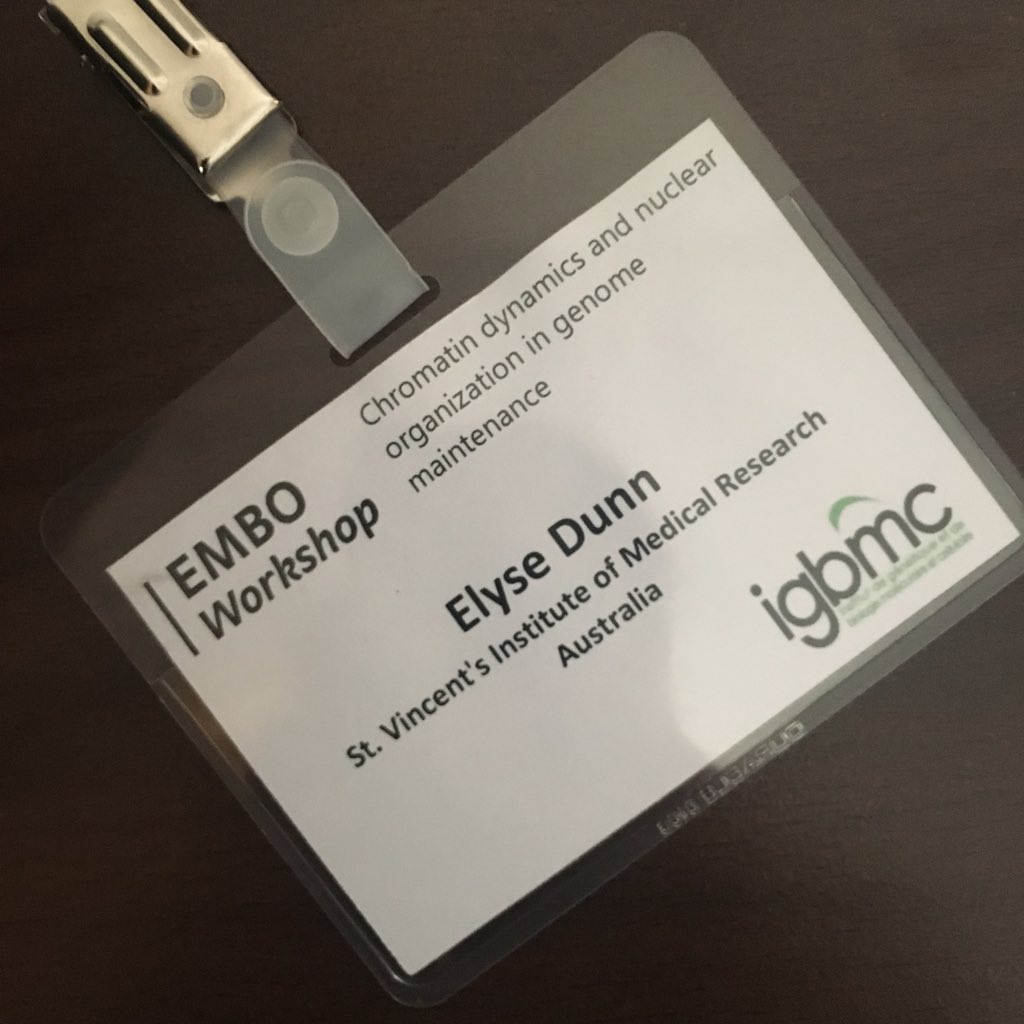 Gaining some great insights at the #EMBOchromatin2018 meeting!