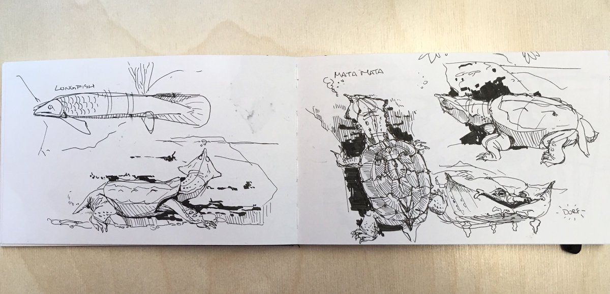 some cleaned up reptile studies for lesson 2 