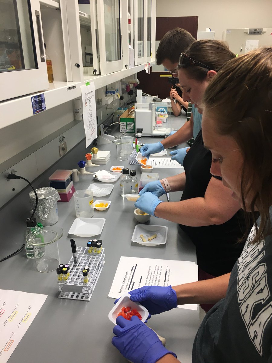 DrJBlakeSci's tweet photo. Amazing biotechnology @NESoybeanBoard #SoybeanScienceInstitute #BeadleCenter https://t.co/9iH4DUc9qg