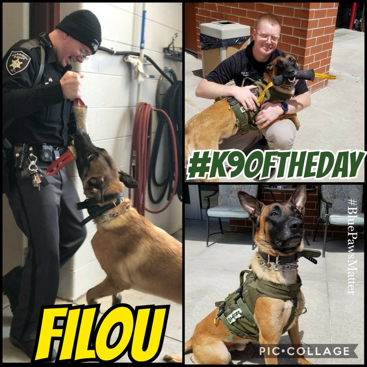 Christina_Roof's tweet photo. #K9OfTheDay
@K9Filou is why #BluePawsMatter ๐พ๐พ
Deputy Ryan Harris, #K9Filou and the entire Harrison County Sheriff's Department are why we #BackTheBlue ๐จ๐จ #Velociraptor https://t.co/p2DPaCnAJ6