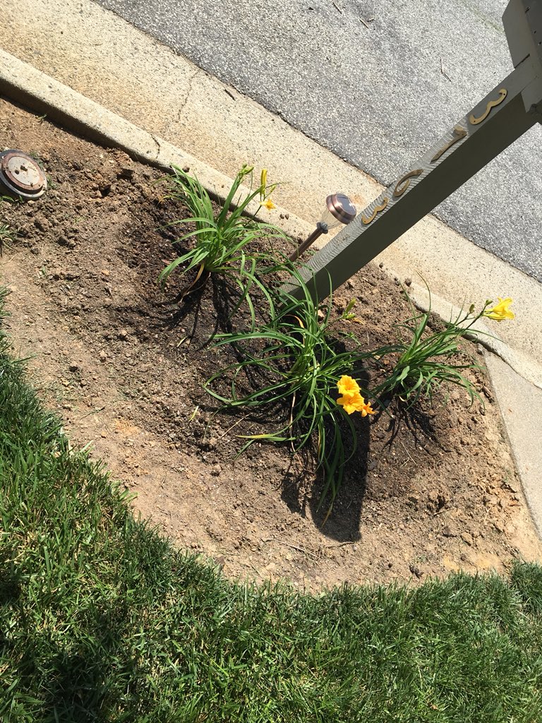 AjAllen8's tweet photo. Hey Twitter, my name is AJ Allen I am a self taught Landscaper located in High Point, North Carolina I am trying to start a African-American owned Landscaping company I can travel as far as Winston Salem, i charge $40 for Regular cuts Please help me out Twitter Like &amp; RT https://t.co/FIPpyNt03I