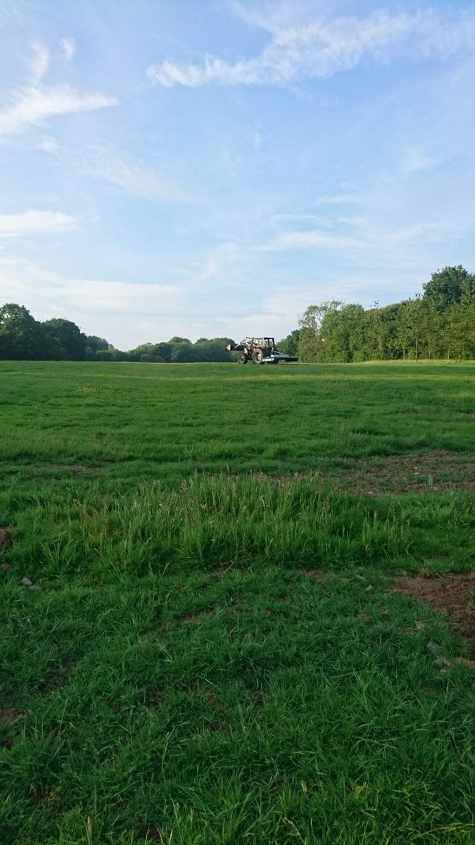 Getting ready for Firecrest Fest! Although the grass it will need cutting quite a few more times before then!

#FirecrestFest #WeAreScientists #MicaJane #MusicFestival #LiveMusic #Preparation