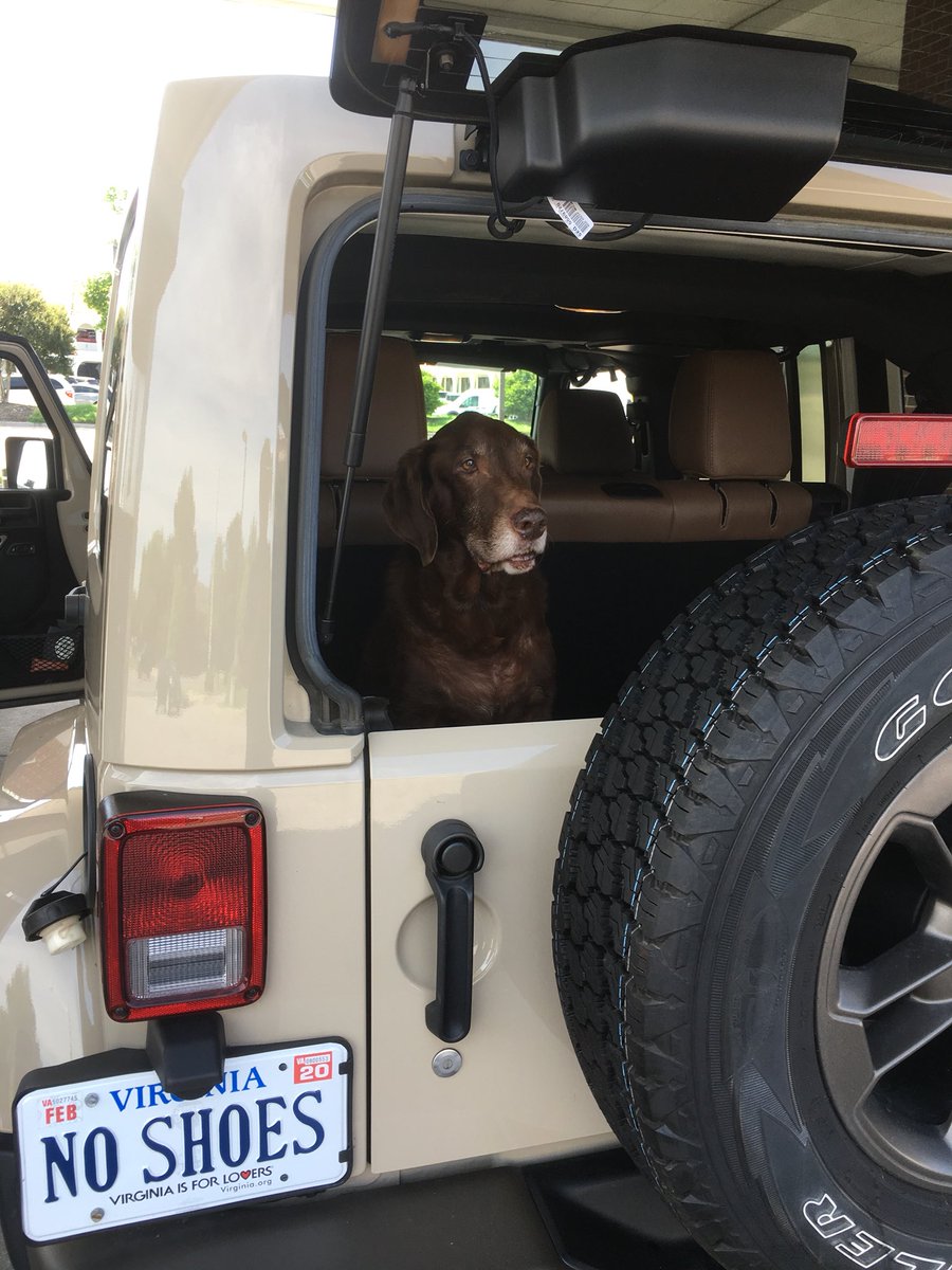y_gro_up's tweet photo. Don’t forget your 4-legged Family members might like to get out to see the world too. Took My 12-year-old to run errands #whygrowup #doglovers https://t.co/Cp5QgGsiUw