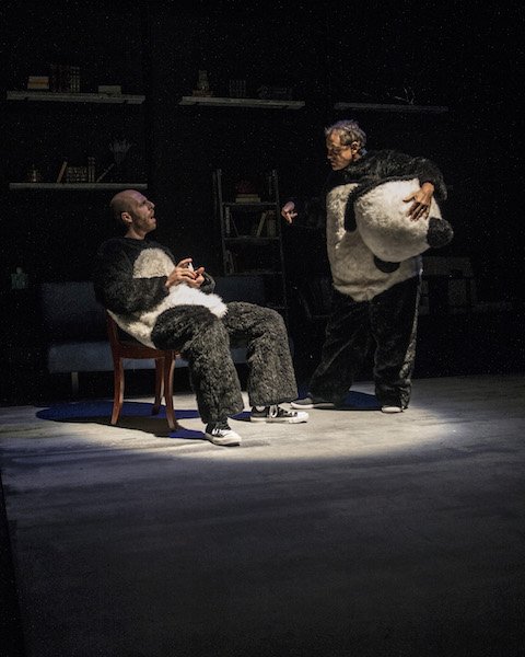 forumtheatre's tweet photo. Celebrate Season 14 with us. It's what the pandas would want. https://t.co/BFCANnkX04 https://t.co/LqWO93reff