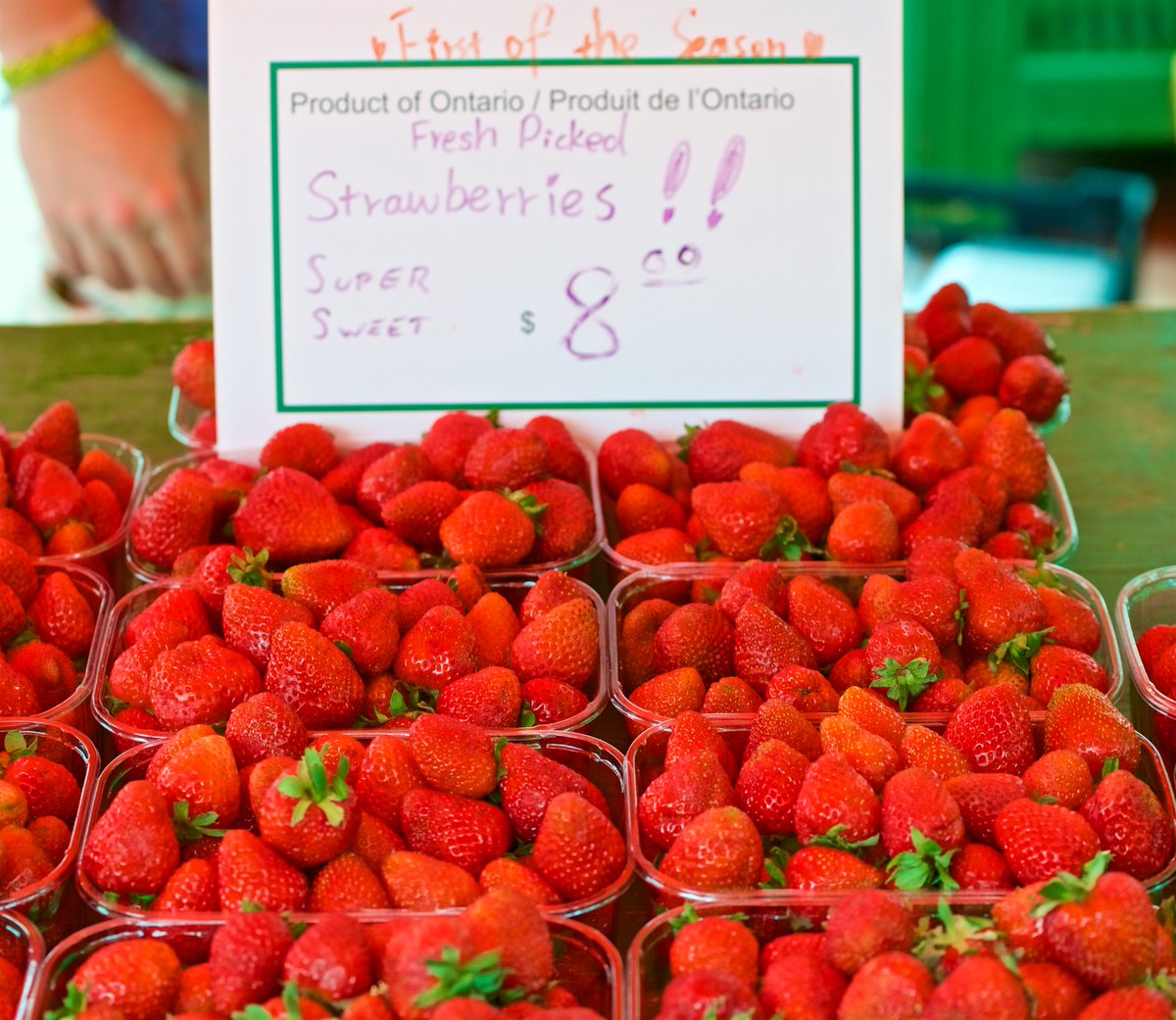 Beautiful strawberries from Bizjak Farms at today’s East York Farmers’ Market. <a href="/bizjakfarms/">Bizjak Farms</a> #eastyork #farmersmarket #strawberry #strawberries #niagara #toronto #ontario