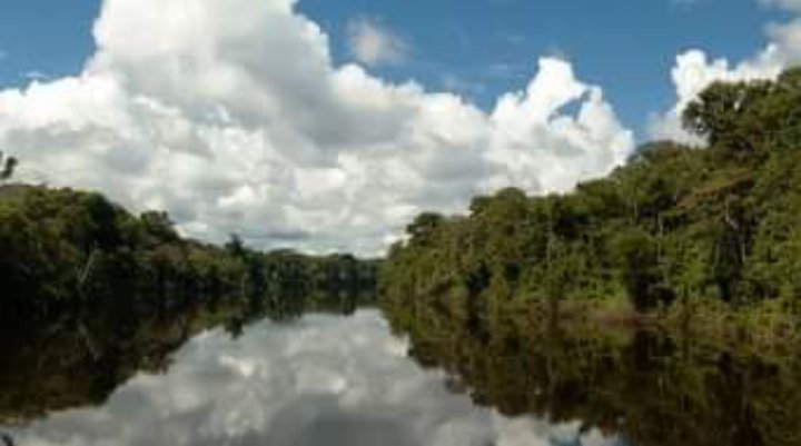 PIACI: ADMITEN DEMANDA DE AMPARO A FAVOR DE LA RESERVA TERRITORIAL KUGAPAKORI, NAHUA, NANTI Y OTROS

Nota: bit.ly/2JuvcWZ
--