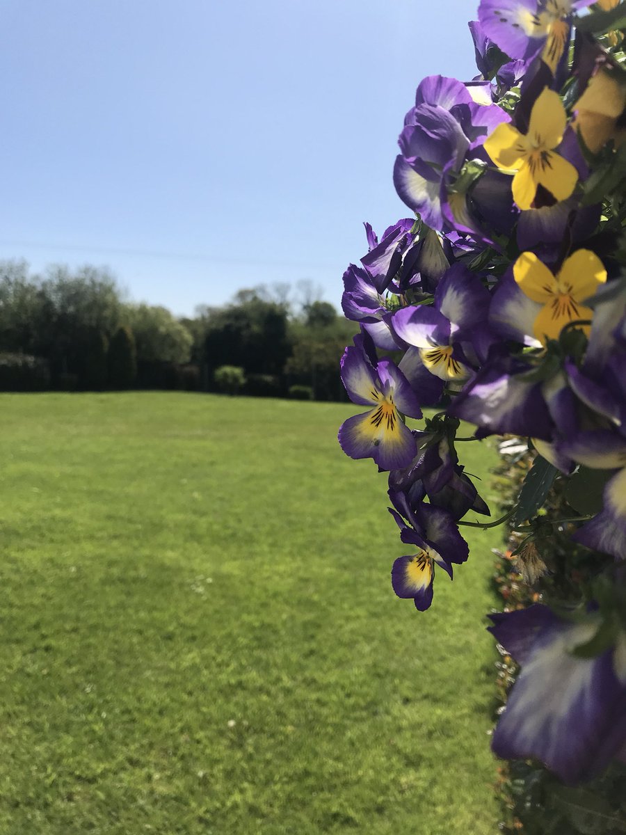 glensidehotel's tweet photo. Looking forward to showcasing our extensive landscapes gardens this Thursday evening at our wedding showcase from 6-9pm @glensidehotel #louthchat #BravaVirtual #gardens #sun #hotels https://t.co/oi0mSn8t5z
