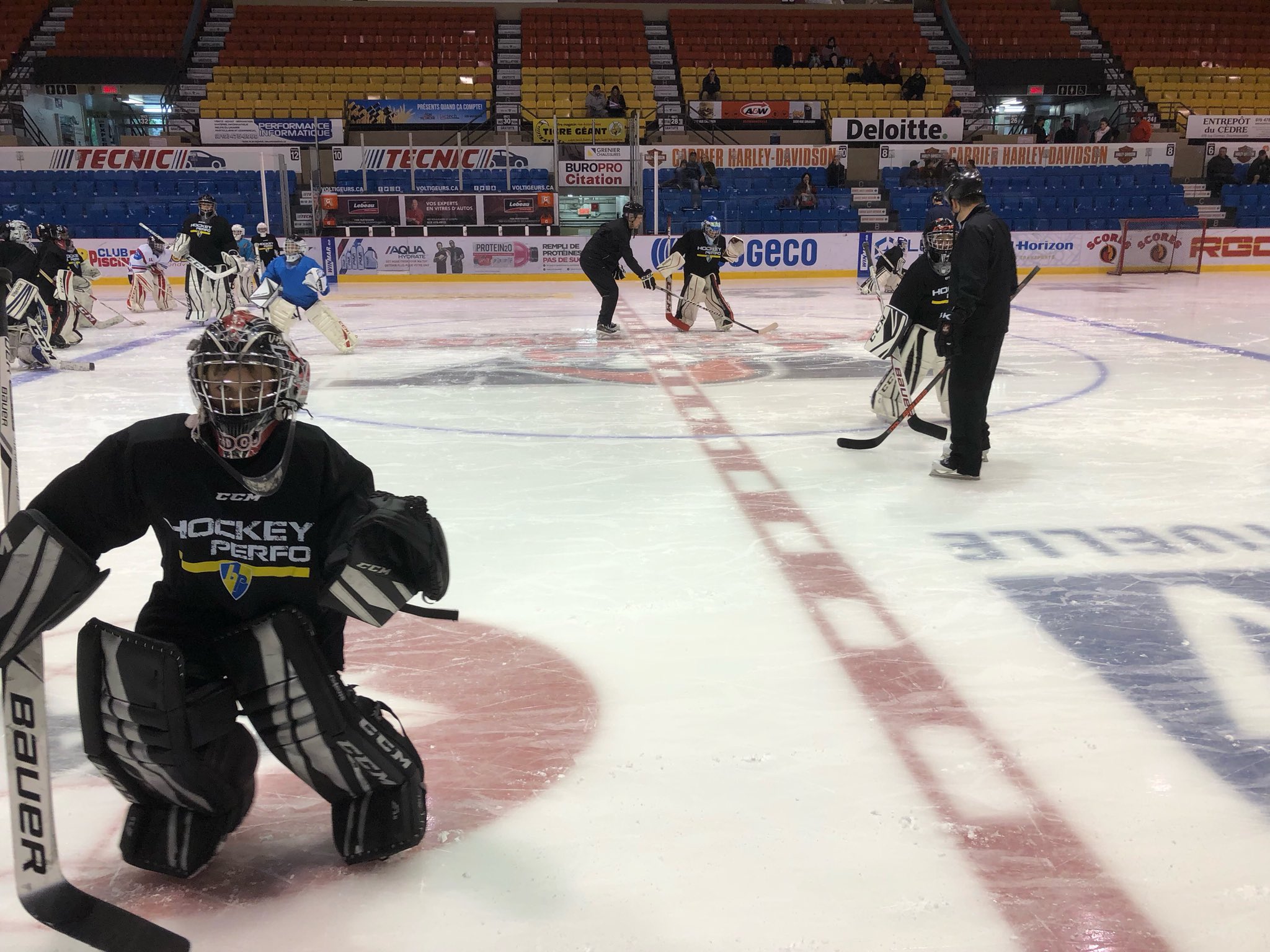 Alexandre Carrier Carrierhockey Twitter