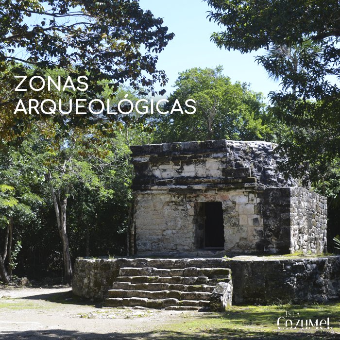 VisitCozumel's tweet photo. Muchos de ustedes nos visitan cada año y queremos saber qué es lo que más les ha gustado de #Cozumel. #FelizMartes https://t.co/msLnLPOFvs
