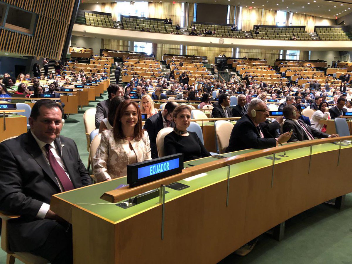 rociojucas's tweet photo. #EcuadorALaONU felicitamos a @mfespinosaEC el día de hoy electa como Presidenta de la Asamblea General de la @ONU_es; auguramos el mayor de los éxitos. https://t.co/eLVsgZPCYd