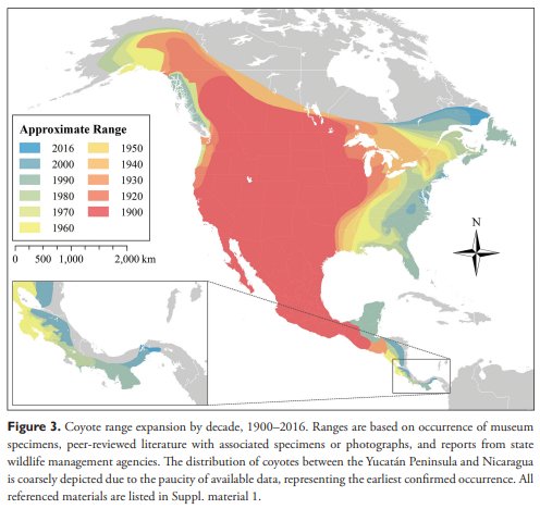 ORNLDAAC's tweet photo. #UseDAACData: Paper: Mapping the expansion of coyotes across North & Central America #wildlife #coyotes @NASA_Earthdata #ISLSCP_II
https://t.co/lkbTFo68aO
Data: https://t.co/9jBAmUFjqR https://t.co/J8g5qXkZps