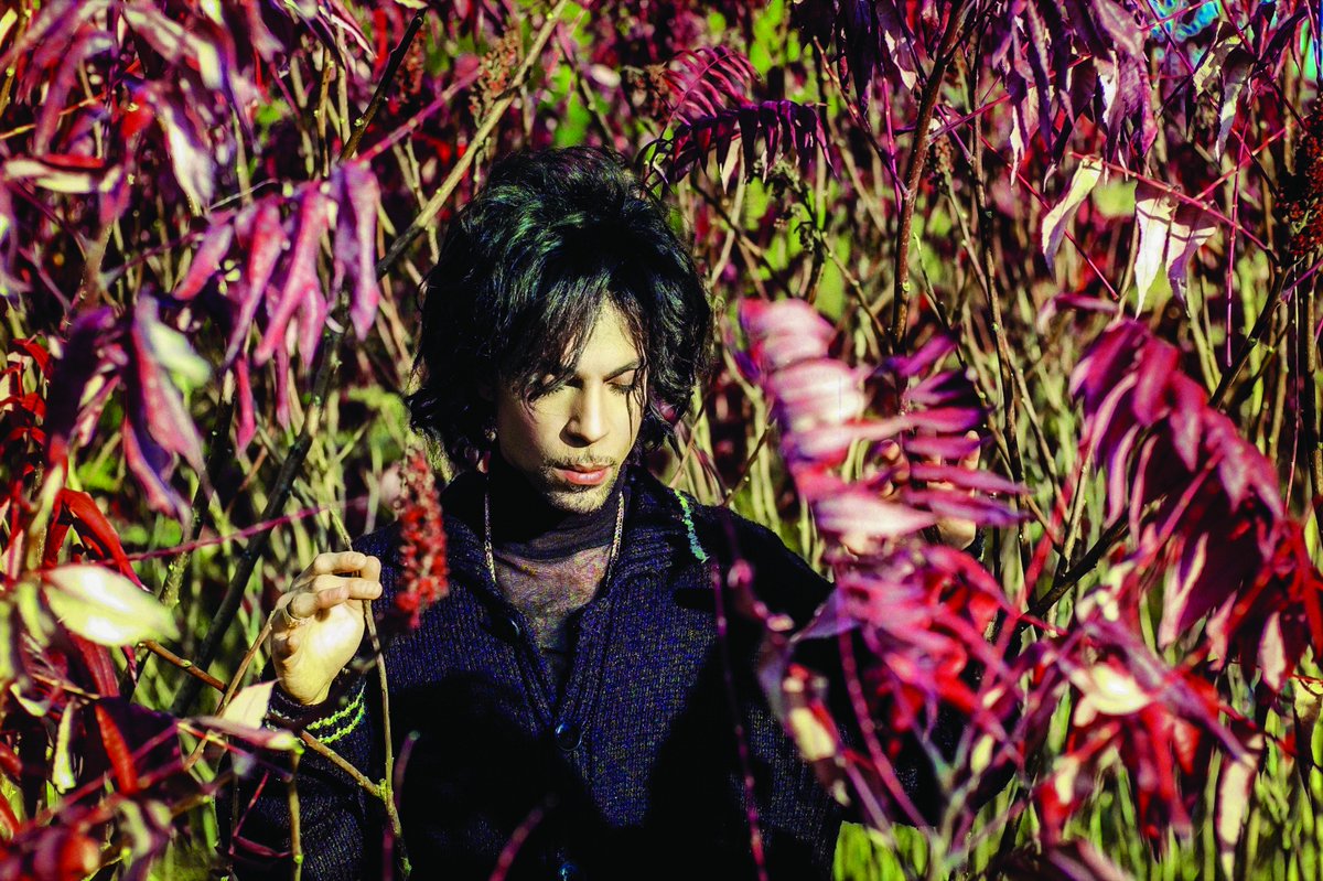 ArtsCollections's tweet photo. In an exclusive interview, Arts & Collections caught up with #photographer of the stars @steven_parke, who shared his experience working alongside the legendary rock icon, #Prince, ahead of his @proudgalleries #exhibition.
https://t.co/12cndCknpp
#Photography https://t.co/RLi0xD9mcd