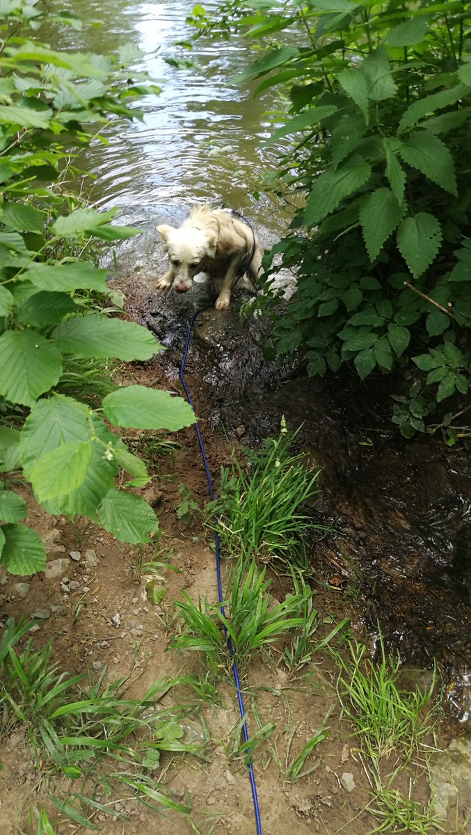 VincentMitsos's tweet photo. Baden, buddeln, baden, buddeln, baden, buddeln... Falls irgendwer fragt, was mich glücklich macht. https://t.co/l7u89KpONx