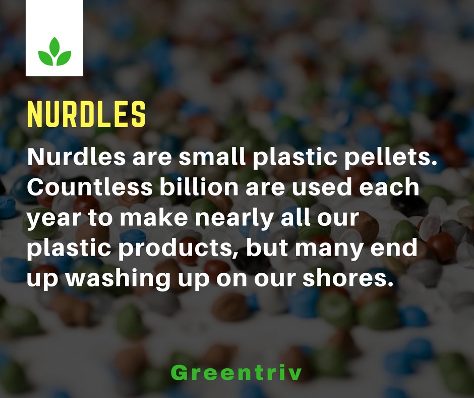 Greentriv1's tweet photo. Unlike large pieces of Plastic marine litter, #Nurdles are so small that they go largely unnoticed. However scientists are becoming increasingly concerned about their effect on our delicate marine ecosystem #WorldEnvironmentDay #BeatPlasticPollution #WorldEnvironmentDay2018 https://t.co/8LOxS2leFS