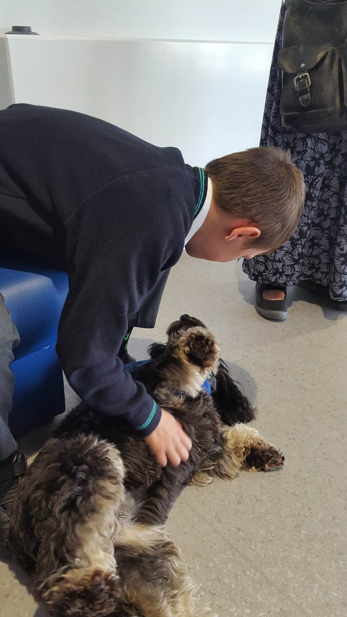 Bramble the therapy dog has taken a liking to Luke ! <a href="/The_Eden_School/">Eden School</a> #happiness #relaxed #dogs