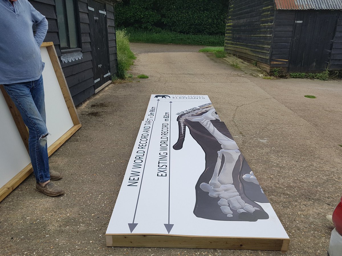 Come and see... Guinness World Record launch with <a href="/hollybudge/">Holly Budge</a> @howmanyellies