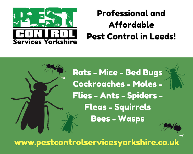 PestControlMike's tweet image. When you call #PestControl Services Yorkshire you will get:
🐁 Quick response
🐀 Free no obligation quote
🐁 Experienced, professional &amp;amp; friendly technician qualified to RSPH level 2
🐀 Fully insured
🐁 Child and pet friendly methods/products
🐀 Discreet, unmarked vehicles