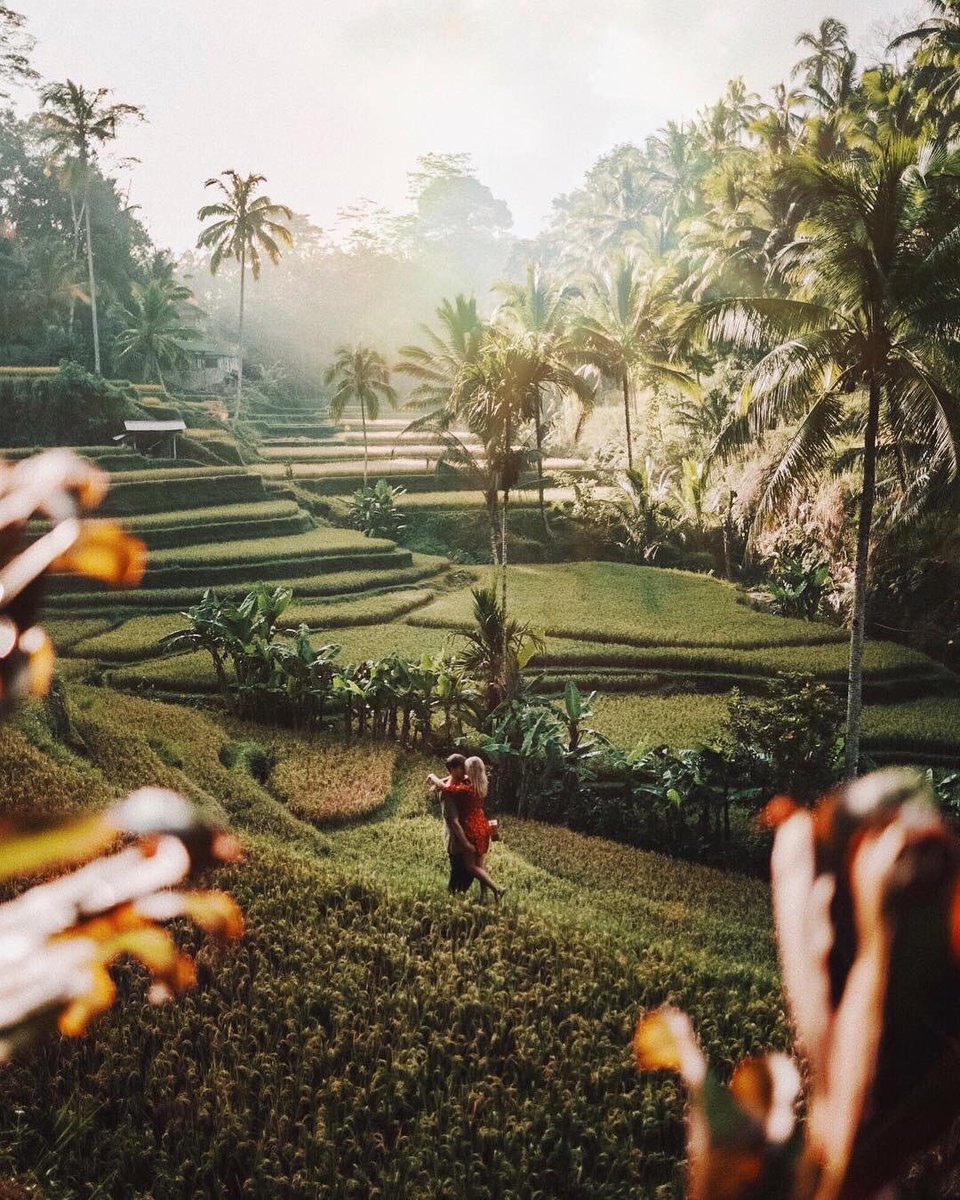 ButDansLaVie's tweet image. Partir en vacances à Bali 💕☀️🌏
