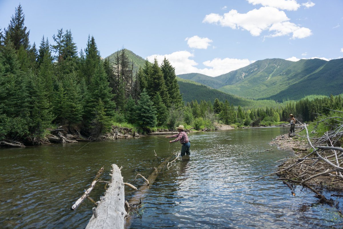 Casting to rising cutthroats in a remote tributary of the South Fork of the Flathead. A few hundred yards from our base camp in the #BobMarshallWilderness, it's an awesome 'home stretch' of river.
LazyJBarO.com
#lazyjbaro #fishlazyj #flyfishing #dryflyfishing #montana