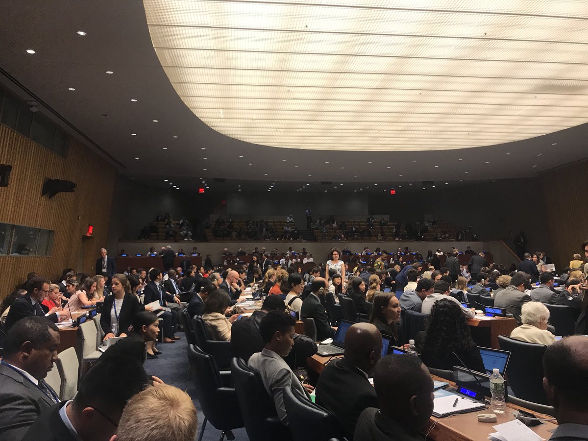 Vereerd met deelname VN Science & Technology Forum on the Sustainable Development Goals in New York @ UN HQ. Met collega Anna Menenti presenteren we #DenHaag, #ImpactCity, als dé stad waar de brug geslagen wordt tussen #SDG’s en technologie/innovatie. #ImpactEconomy #STIForum #UN