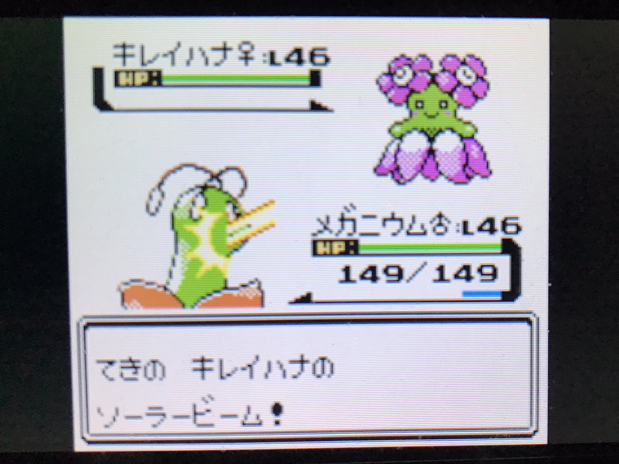 تويتر Dim على تويتر エリカ戦 ねむりごな等の異常状態で攻める戦法 にほんばれを活かす戦法等中々トリッキーな戦い方をする はいいんですけど いあいぎりなしでジムに入れない仕様はどうにかなりませんか ポケモン金銀 T Co Verlqriud7