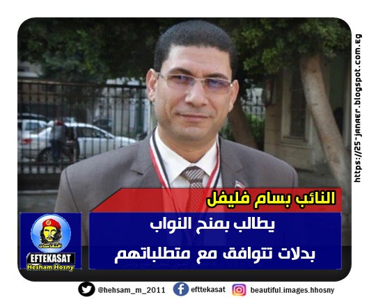 النائب بسام فليفل يطالب بمنح النواب بدلات تتوافق مع متطلباتهم