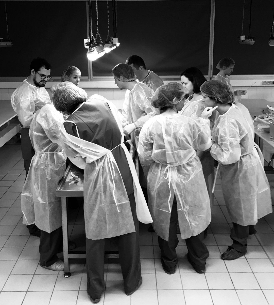 GuBouhours's tweet photo. Instantané TP au laboratoire d’Anatomie @FacSante_Angers @chu_angers @UnivAngers pour le DU #TraumaGrave. @SigLasocki @NLerolle @CecileJaglin @SoltnerLaurence @ElsaLivonnet @AnitaComhop @mxmleger @mathieuconte @ManuLaSams @EmmanuelRineau @gusoulard @BarangerCamille @zoe_gustin https://t.co/1Q9rPUj4Wv