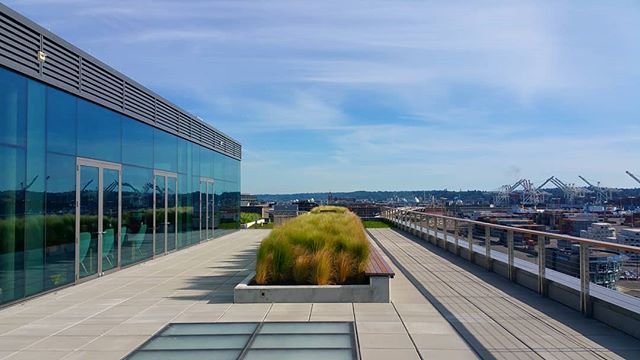 TimJWhitcombe's tweet photo. Great spot for an outing with @nbbjdesign's Studio 31. Taking time to unwind and celebrate on the roof deck of a recently completed Commercial Shell & Core felt very fitting.
#architecture #shellandcore #design #whatanarchitectdoes #timternational #rooft… https://t.co/rULdmr995J https://t.co/kABuxZXOeY