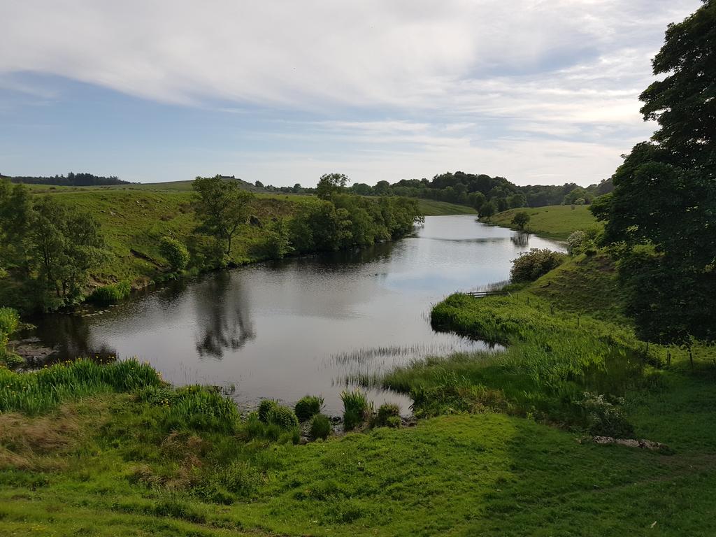 Rothley Lower Lake tweet media